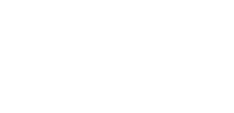 World Aviation Aerial Services VIP